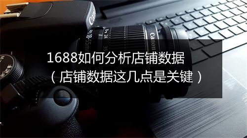 1688如何分析店铺数据（店铺数据这几点是关键）
