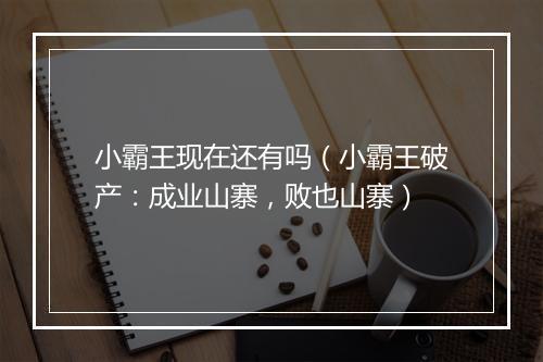 小霸王现在还有吗（小霸王破产：成业山寨，败也山寨）
