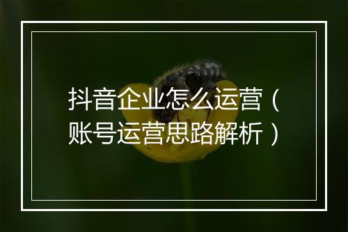 抖音企业怎么运营（账号运营思路解析）