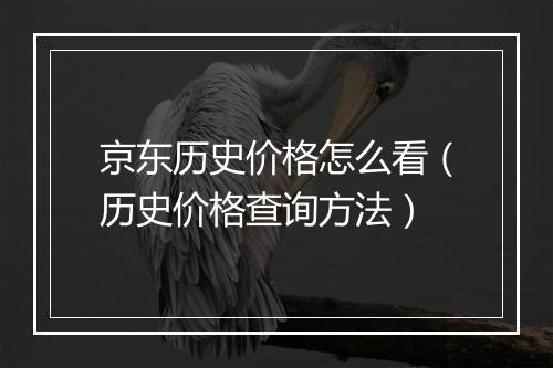 京东历史价格怎么看（历史价格查询方法）
