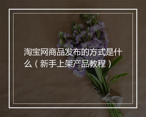 淘宝网商品发布的方式是什么（新手上架产品教程）