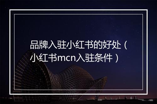 品牌入驻小红书的好处（小红书mcn入驻条件）