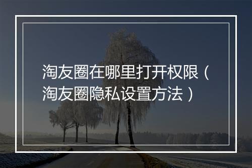 淘友圈在哪里打开权限（淘友圈隐私设置方法）