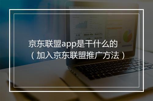京东联盟app是干什么的（加入京东联盟推广方法）