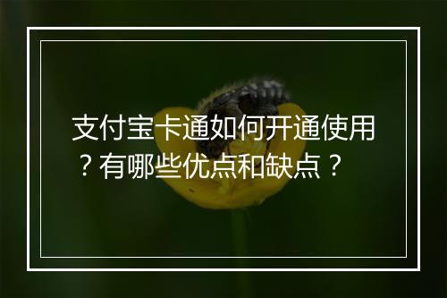 支付宝卡通如何开通使用？有哪些优点和缺点？