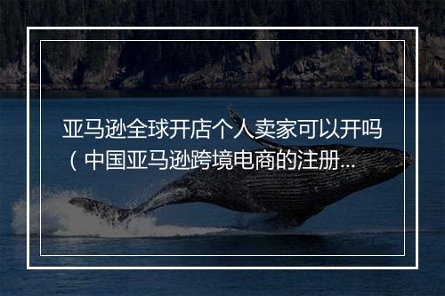 亚马逊全球开店个人卖家可以开吗（中国亚马逊跨境电商的注册步骤）