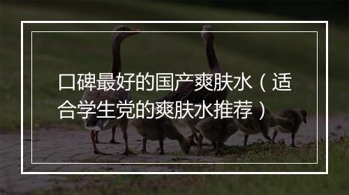 口碑最好的国产爽肤水（适合学生党的爽肤水推荐）