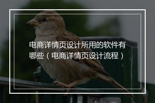 电商详情页设计所用的软件有哪些（电商详情页设计流程）