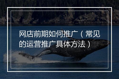 网店前期如何推广（常见的运营推广具体方法）