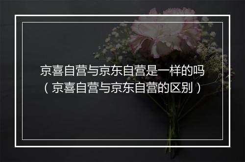 京喜自营与京东自营是一样的吗（京喜自营与京东自营的区别）