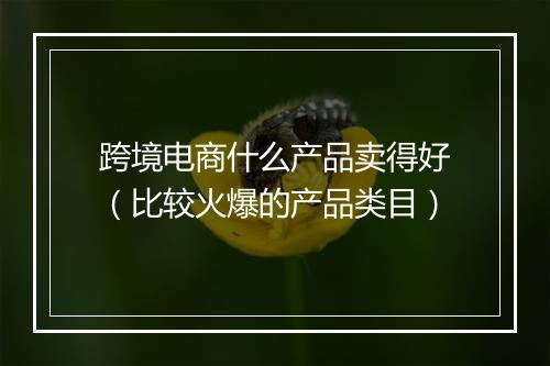 跨境电商什么产品卖得好（比较火爆的产品类目）
