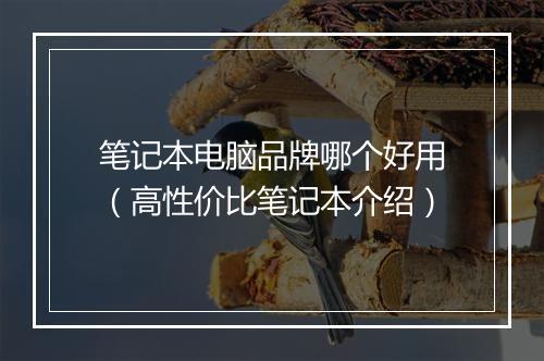 笔记本电脑品牌哪个好用（高性价比笔记本介绍）