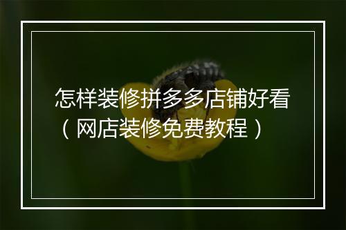 怎样装修拼多多店铺好看（网店装修免费教程）