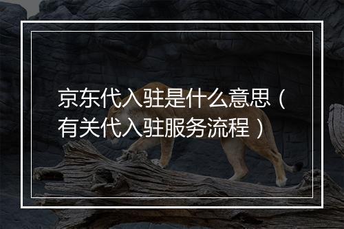 京东代入驻是什么意思（有关代入驻服务流程）