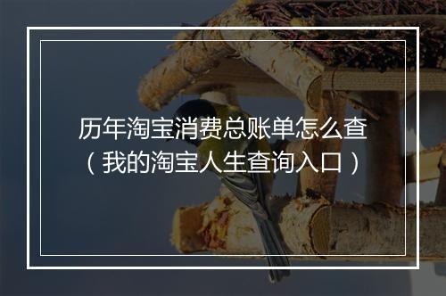 历年淘宝消费总账单怎么查（我的淘宝人生查询入口）