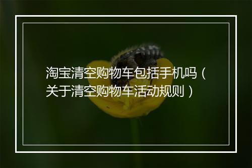 淘宝清空购物车包括手机吗（关于清空购物车活动规则）