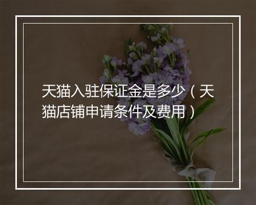 天猫入驻保证金是多少（天猫店铺申请条件及费用）