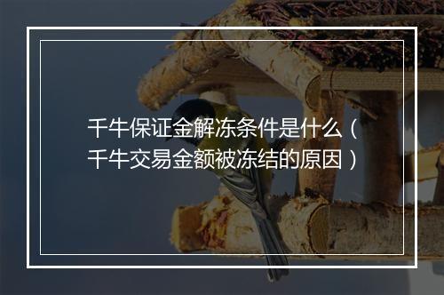 千牛保证金解冻条件是什么（千牛交易金额被冻结的原因）