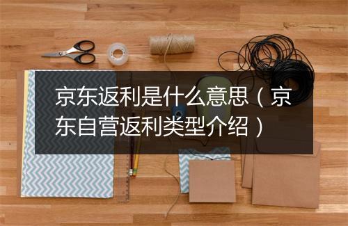 京东返利是什么意思（京东自营返利类型介绍）