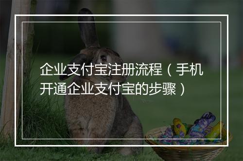 企业支付宝注册流程（手机开通企业支付宝的步骤）