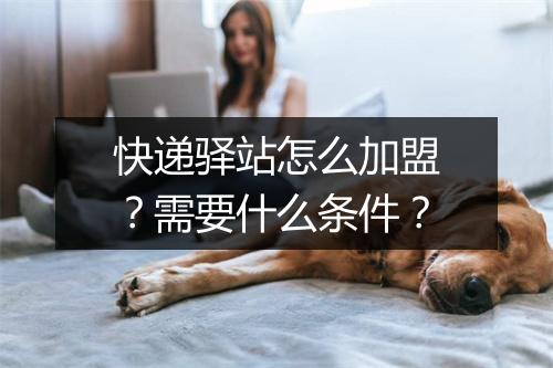快递驿站怎么加盟？需要什么条件？