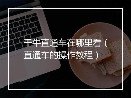 千牛直通车在哪里看（直通车的操作教程）