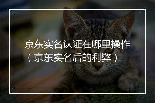 京东实名认证在哪里操作（京东实名后的利弊）