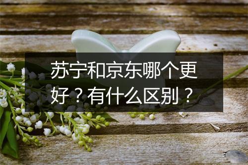 苏宁和京东哪个更好？有什么区别？