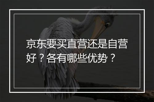 京东要买直营还是自营好？各有哪些优势？