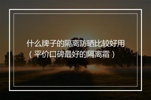 什么牌子的隔离防晒比较好用（平价口碑最好的隔离霜）