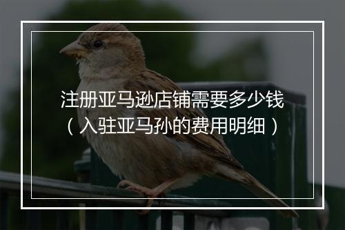 注册亚马逊店铺需要多少钱（入驻亚马孙的费用明细）