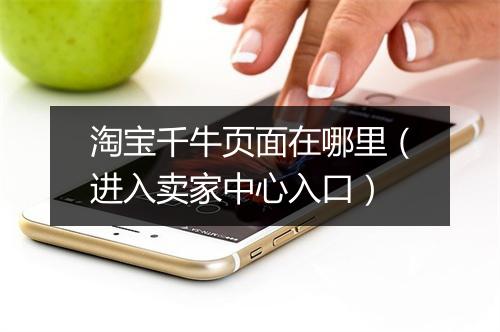 淘宝千牛页面在哪里（进入卖家中心入口）