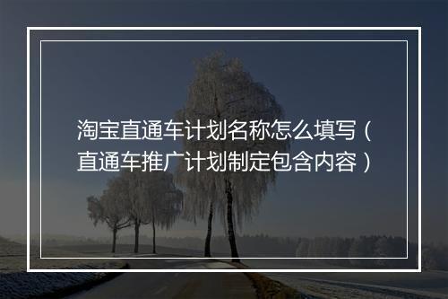 淘宝直通车计划名称怎么填写（直通车推广计划制定包含内容）