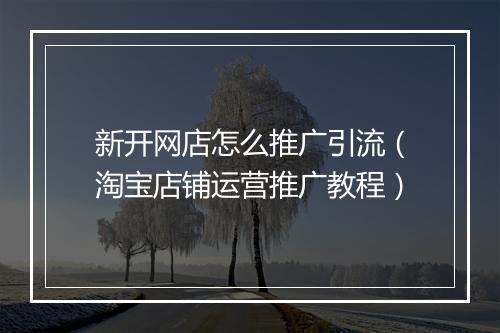 新开网店怎么推广引流（淘宝店铺运营推广教程）