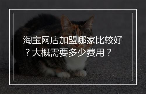 淘宝网店加盟哪家比较好？大概需要多少费用？