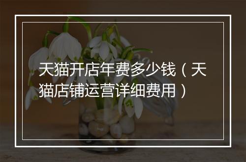 天猫开店年费多少钱（天猫店铺运营详细费用）
