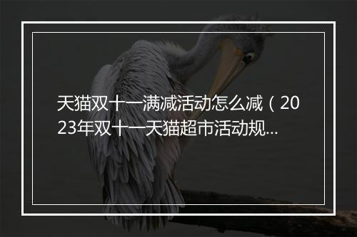 天猫双十一满减活动怎么减（2023年双十一天猫超市活动规则）