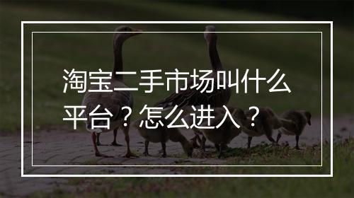 淘宝二手市场叫什么平台？怎么进入？