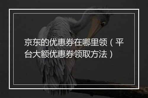 京东的优惠券在哪里领（平台大额优惠券领取方法）