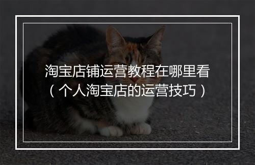 淘宝店铺运营教程在哪里看（个人淘宝店的运营技巧）