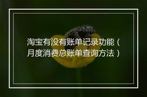 淘宝有没有账单记录功能（月度消费总账单查询方法）
