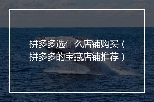 拼多多选什么店铺购买（拼多多的宝藏店铺推荐）
