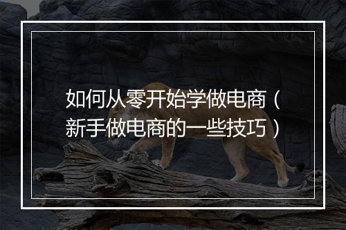 如何从零开始学做电商（新手做电商的一些技巧）