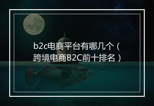 b2c电商平台有哪几个（跨境电商B2C前十排名）