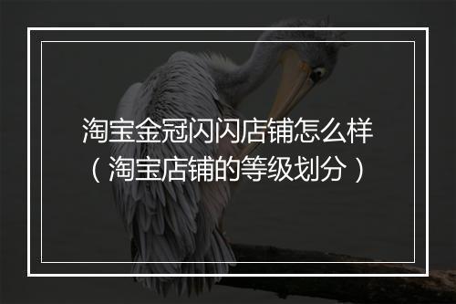 淘宝金冠闪闪店铺怎么样（淘宝店铺的等级划分）