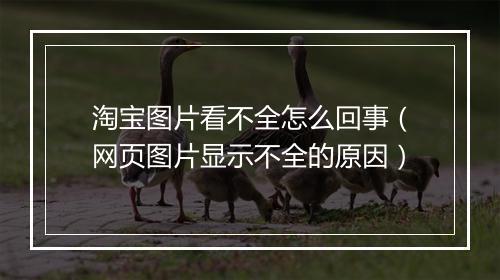 淘宝图片看不全怎么回事（网页图片显示不全的原因）
