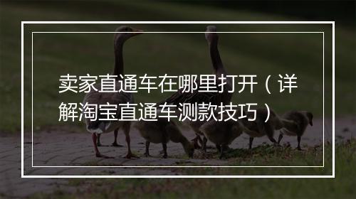 卖家直通车在哪里打开（详解淘宝直通车测款技巧）