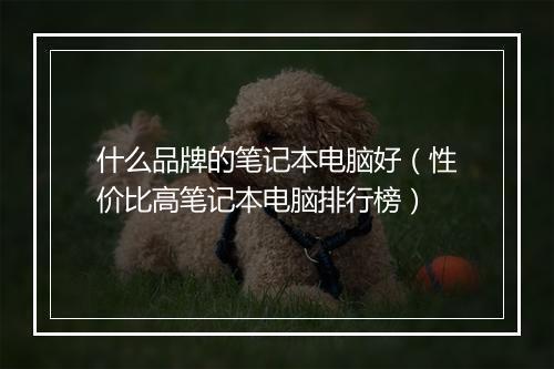 什么品牌的笔记本电脑好（性价比高笔记本电脑排行榜）