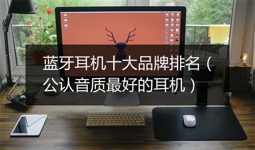蓝牙耳机十大品牌排名（公认音质最好的耳机）
