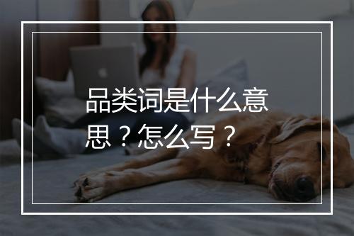 品类词是什么意思？怎么写？